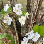 Brian Farber - @lumncekova - Instagram