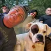 Brian Fenstermaker - @bfence - TikTok