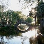 Brian Ferraro - @ferrarie49 - Instagram