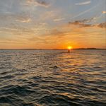 Bryan Ferretti - @bryanjferretti - Instagram
