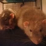 Brian Fester - @brianfester - Instagram