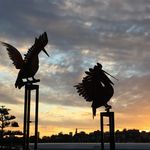 Brian Fine - @briancfine - Instagram