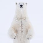 Brian Hupp Fine Art - @brian_hupp_fine_art - Instagram