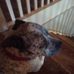 Brian Fore - Facebook