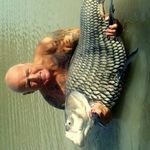 Brian Forman - @brianforma - Instagram