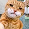Brian Fortier - @brianfortier995 - TikTok