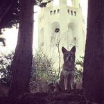 Brian Fortune - @brian.fortune - Instagram