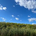 Brian Fraley - @bfraley_10 - Instagram