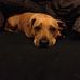 Brian Bruun Frandsen - Facebook