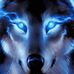 Brian Wolf Frechette - Facebook