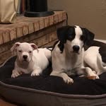 Brian Fredella - @8fredella8 - Instagram