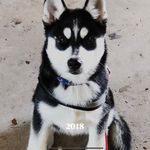 Brian Freese - @freesezone1 - Instagram
