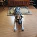 Brian Friedrich - Facebook