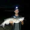 Brian funk - @what.the.funk1 - TikTok