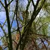 Brian Furr350 - @brianfurr350 - TikTok