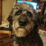 Brian Fyfe - @fyfe.brian - Instagram