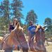 Brian Gabbard - Facebook