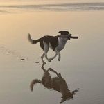 Brian Gabbard - @billsville_west - Instagram