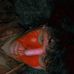 Bryan Gable - Facebook