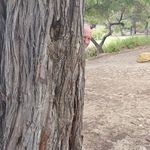 Brian Gainey - @brian.gainey50 - Instagram