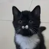 Brian Galicia - @brian.galicia4 - TikTok