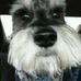 Brian Gard - Facebook