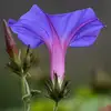 brianggaribay70034 - @brianggaribay70034 - TikTok