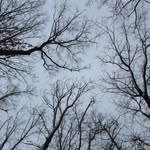 Brian Garrow - @garrow_photography - Instagram