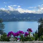 Brian Garrow - @alpacadude30 - Instagram