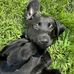 Brian Gebo - Facebook