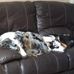 Brian Gemmell - Facebook