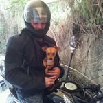 Brian Gersh - @gershbrian - Instagram