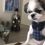 Brian Getty - @bgetty1 - Instagram