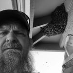 Beekeeper Gillham - @briangillham - Instagram