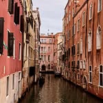 Brian Gillmore - @gillmorebrian - Instagram