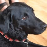 Brian Gill Sullivan - @briangillsullivan - Instagram
