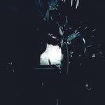 Brian Gilman - @gilman1735 - Instagram