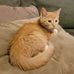 Brian Gilman - Facebook