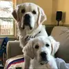 Brian Gilroy - @briangilroy85 - TikTok