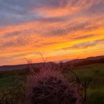 Brian Gilstrap - @life_of_a_veteran - Instagram