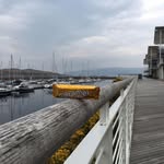 Brian Girvan - @girvan.brian - Instagram