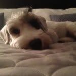 Brian Glaser - @brian.glaser - Instagram