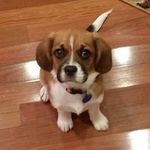 Brian Glasco - @brian.glasco - Instagram