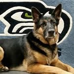 Brian Glaser - @gsd79tx - Instagram