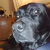 Brian Glen - @brian.glen2 - TikTok