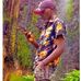 Yobra Nyaz - Facebook