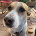Brian Gober - Facebook