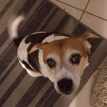 Brian Goldenberg - @rebelzero00 - Instagram