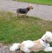 Brian Gormley - Facebook
