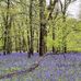 Brian Granger - Facebook